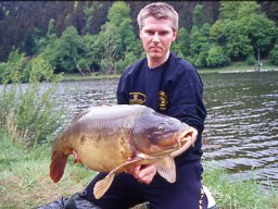 Br. 1 Spiegler 16,5 spreda